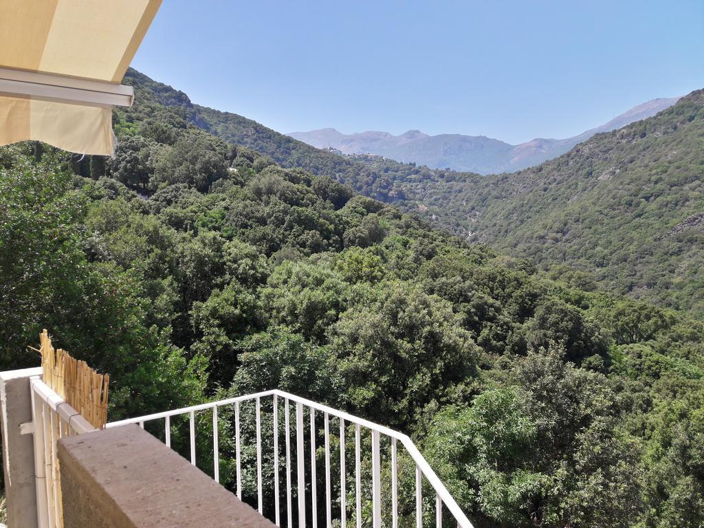 Apartment Giannoni San-Martino-di-Lota