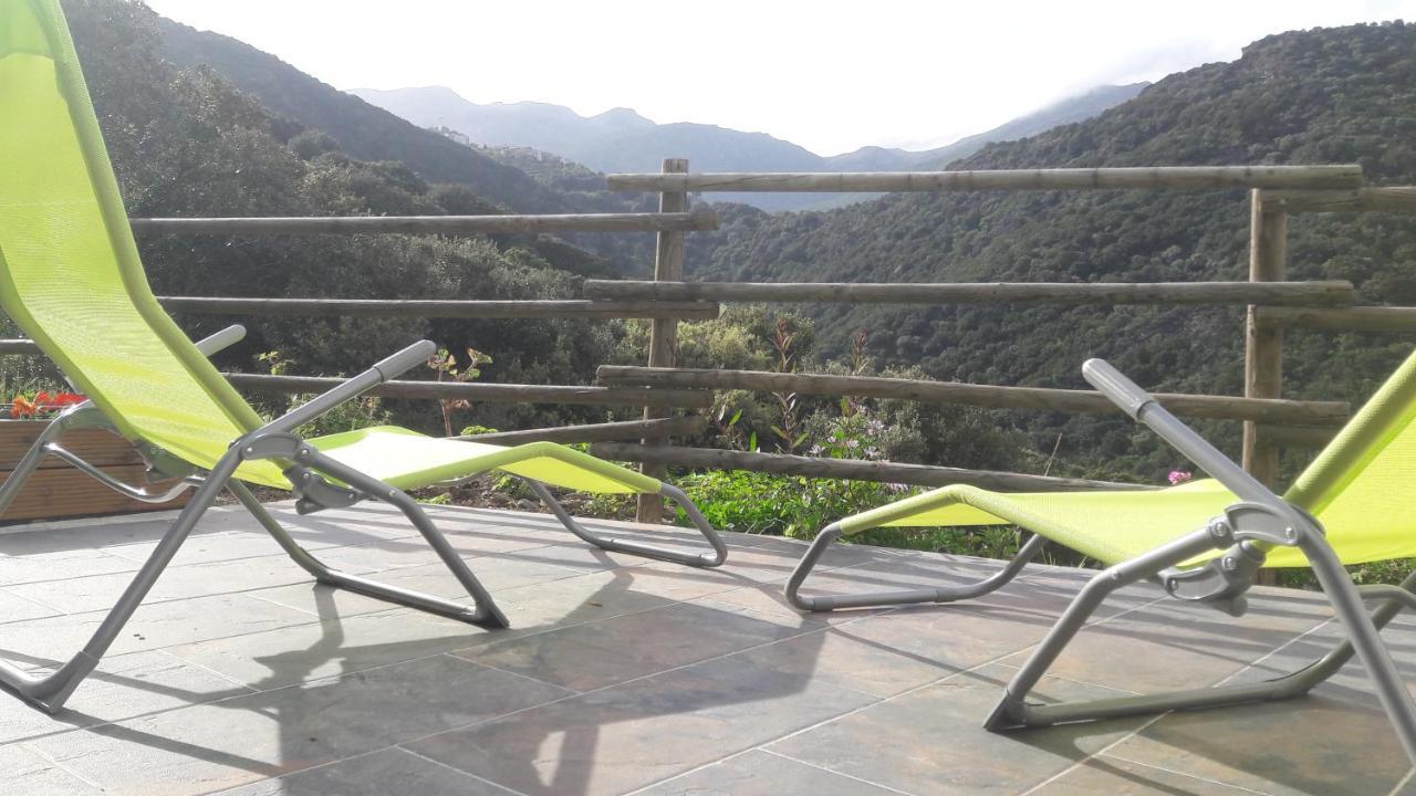 Apartment Giannoni San-Martino-di-Lota