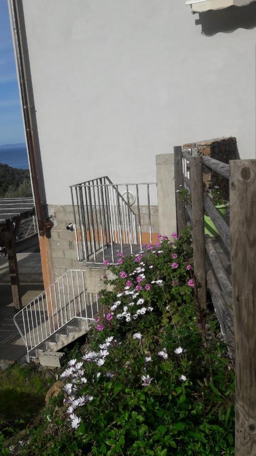 Apartment Giannoni