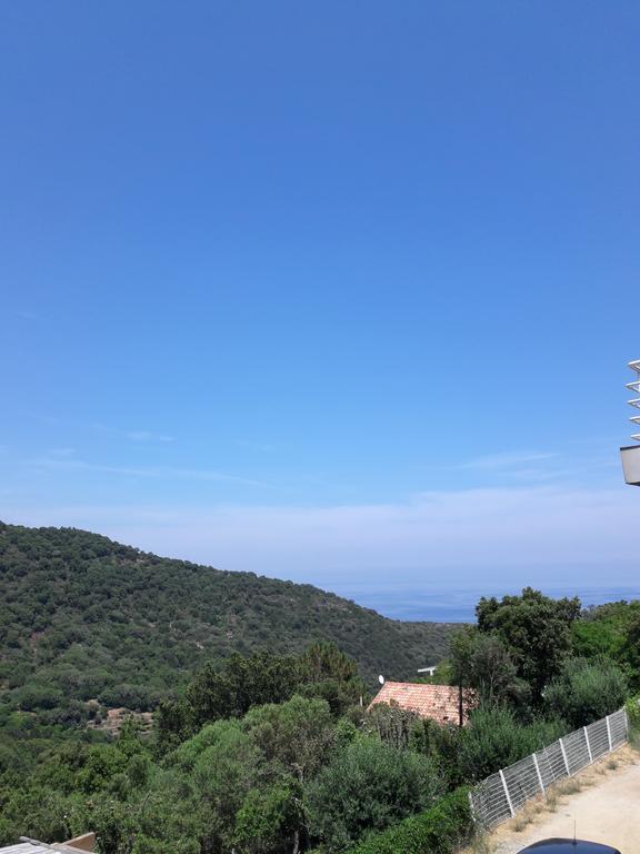 Giannoni